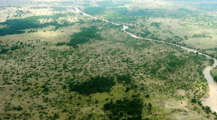 Ngerende in the Wild Riverview