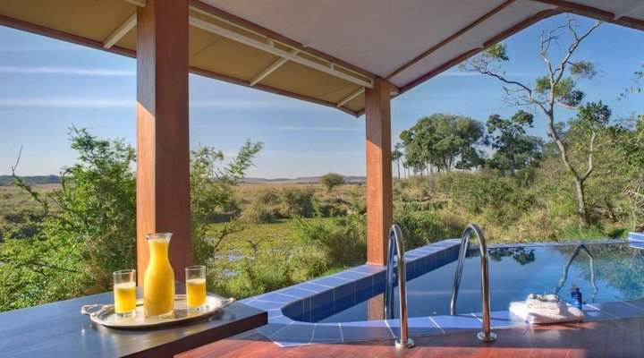 Ngerende in the Wild Lakeview
