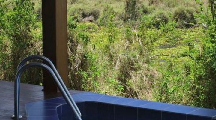 Ngerende in the Wild Lakeview