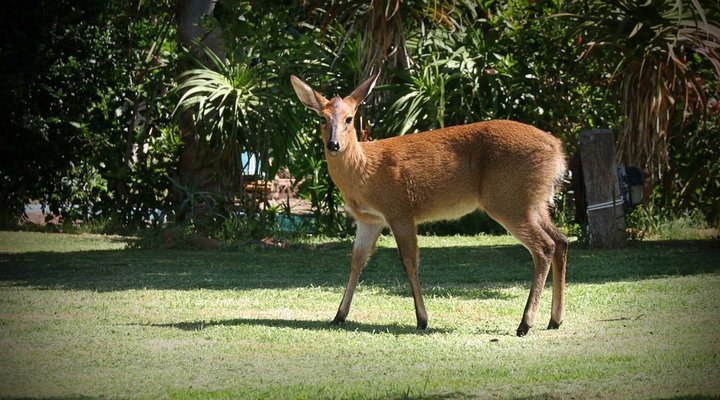 Rock Inn Guest House