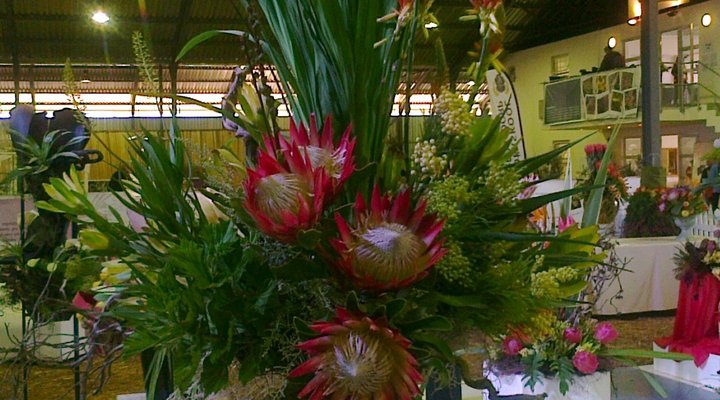 Kate’s Country Kitchen Accommodation