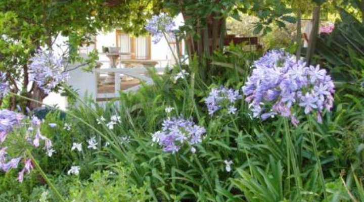 Swellendam Bed and Breakfast