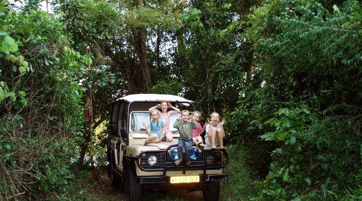 Wami River Bush Retreat (Kisampa)