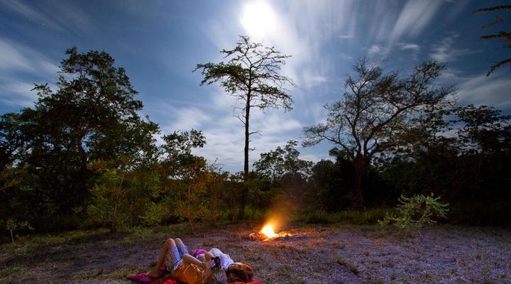 Wami River Bush Retreat (Kisampa)