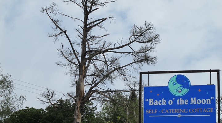 Back o' the Moon Cottage