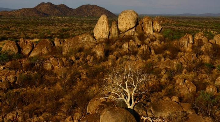 Guest Farm Otjitambi