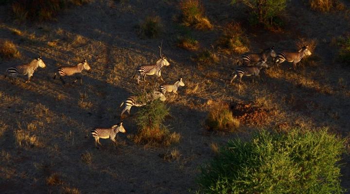 Guest Farm Otjitambi