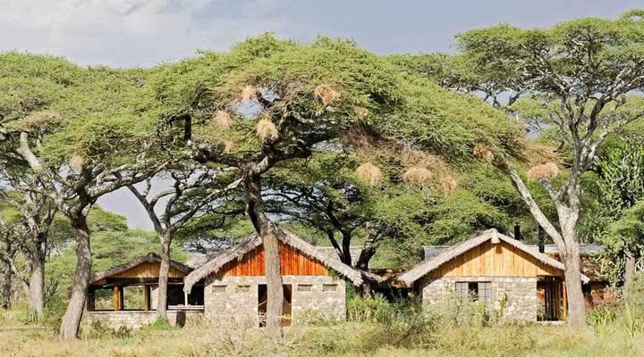 Ndutu Safari Lodge