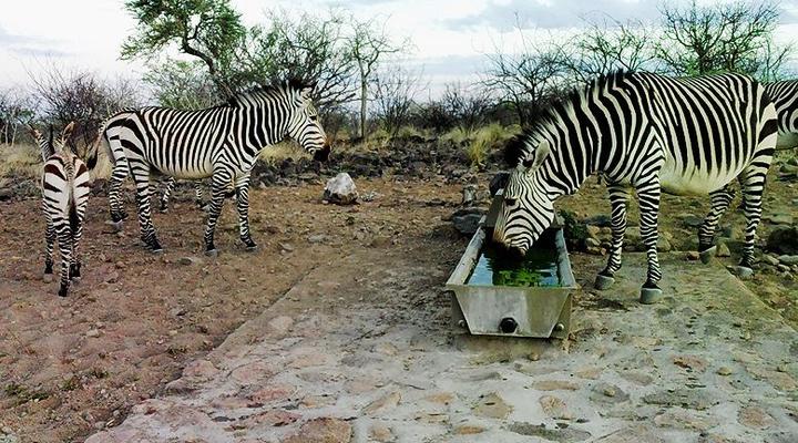 Erongo Plateau Camp