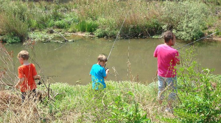 Bushveld River Thatch Retreat