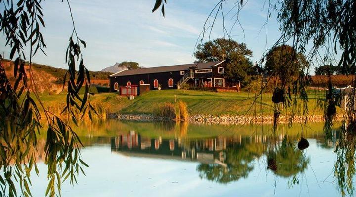 Aaldering Vineyards & Wines