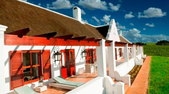 Aaldering Vineyards & Wines