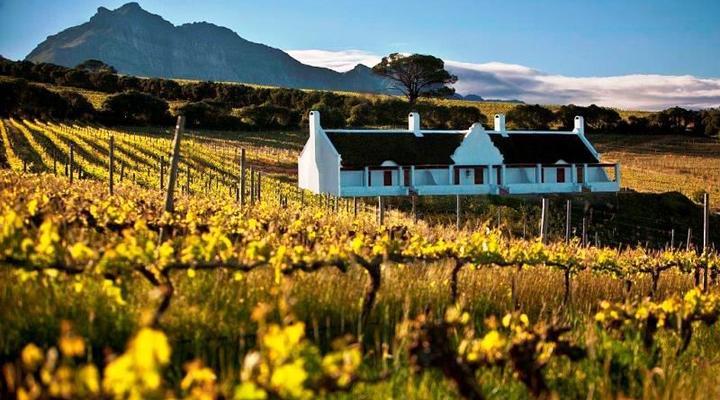 Aaldering Vineyards & Wines