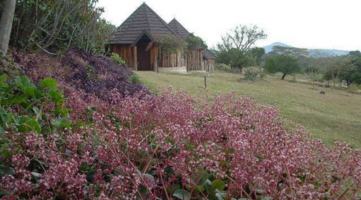Ngobit River Lodge and Colobus House