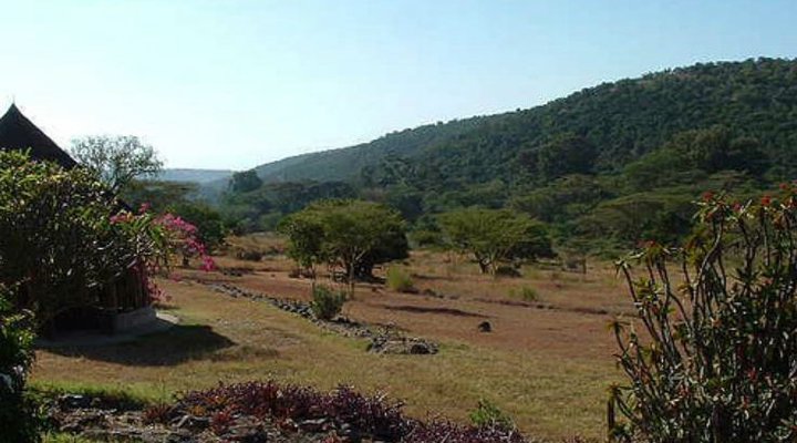 Ngobit River Lodge and Colobus House