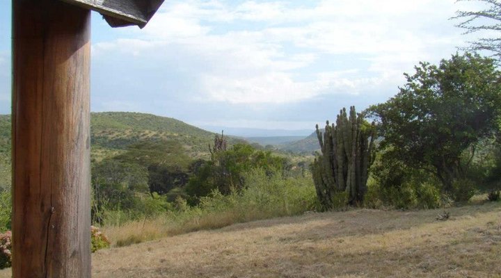 Ngobit River Lodge and Colobus House