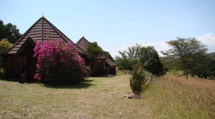 Ngobit River Lodge and Colobus House