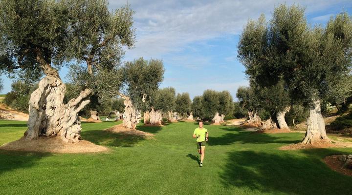 Masseria Torre Maizza