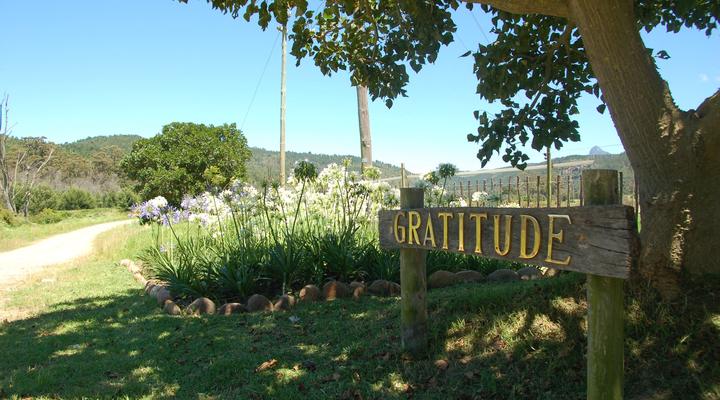 Gratitude Horse Farm