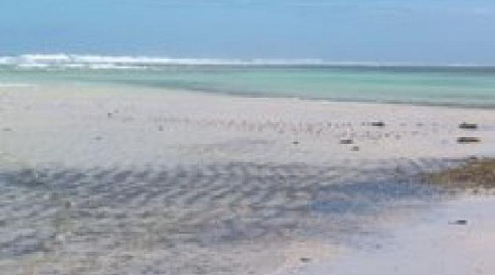 Kelliana Beach House