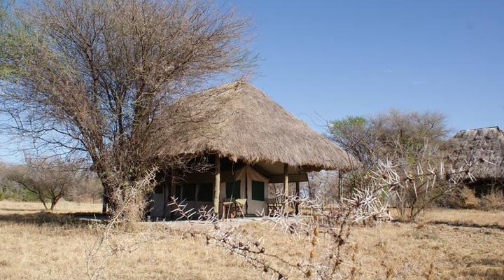 Whistling Thorn Tented Camp