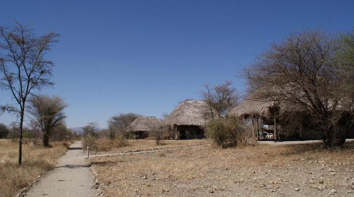 Whistling Thorn Tented Camp