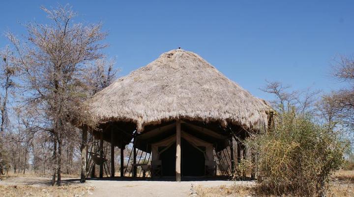 Whistling Thorn Tented Camp