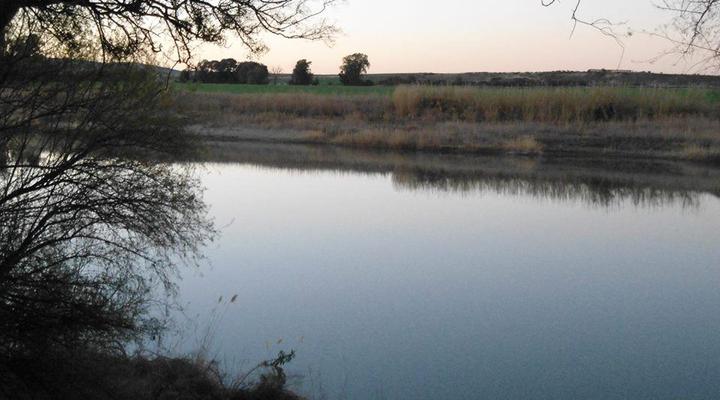 Excelsior River and Farm Cottages