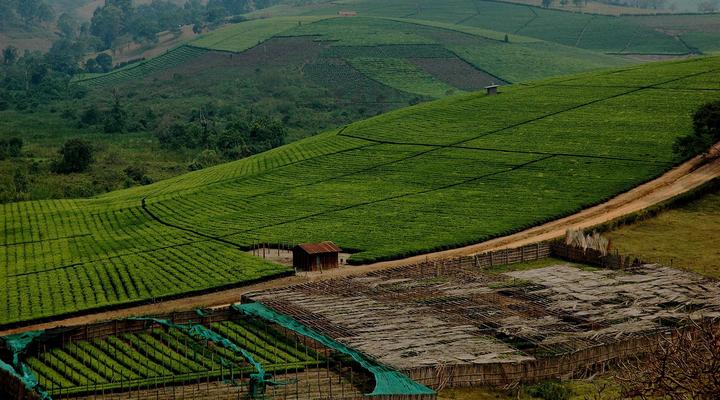 Western Meridian Hotel - Bushenyi