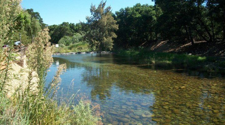 Casa Consani Terra Del Vino