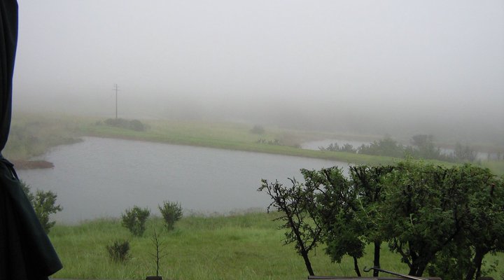 Inhlanzi