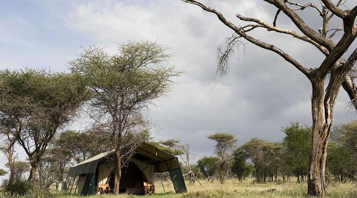Ndutu Under Canvas