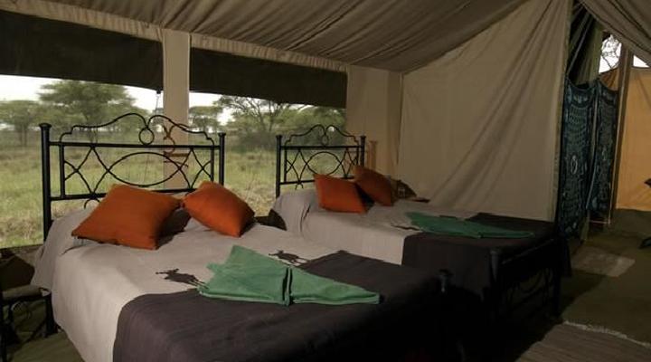 Ndutu Under Canvas