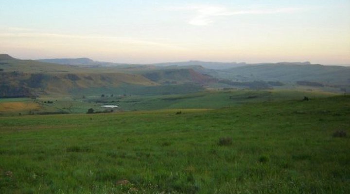 Inhlanzi