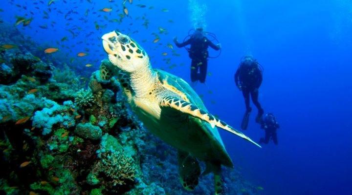 Dhow Bay Guest House