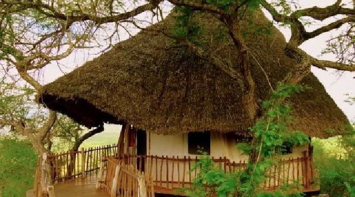 Lion's Bluff Lodge