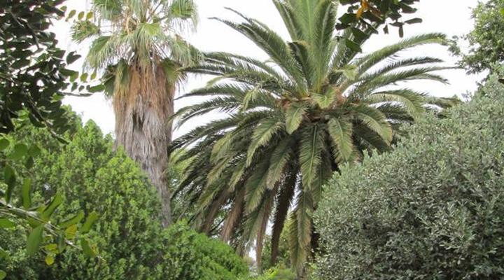 Kameel Rust and Vrede B&B and Camping