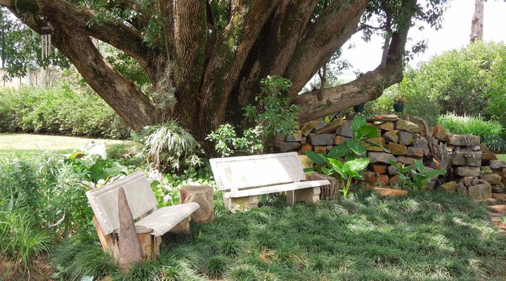 The Drakensberg Terrace