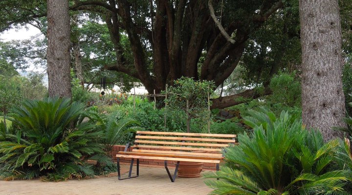 The Drakensberg Terrace