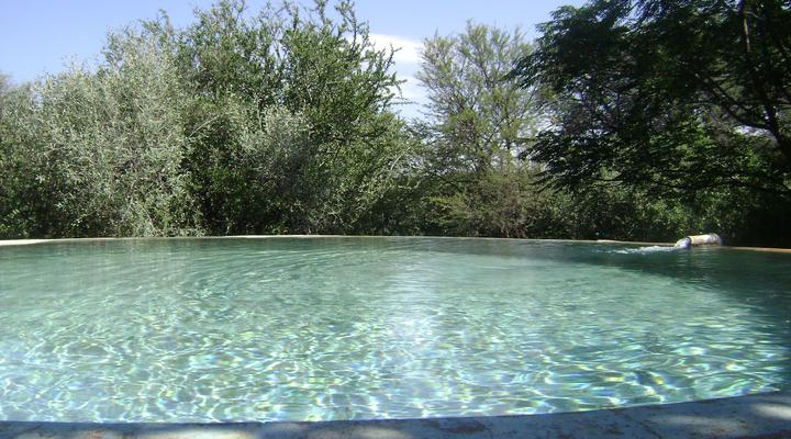 Kameel Rust and Vrede B&B and Camping