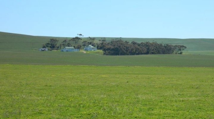 Middeldam Plaashuis