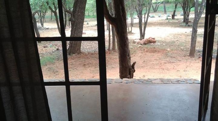 Javavu Game Farm and Lodge