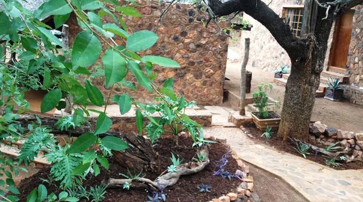 Javavu Game Farm and Lodge