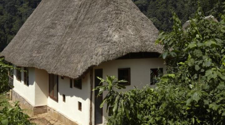 Bwindi Lodge
