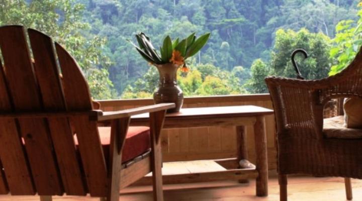 Bwindi Lodge