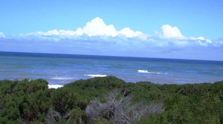 10 Ebersohn