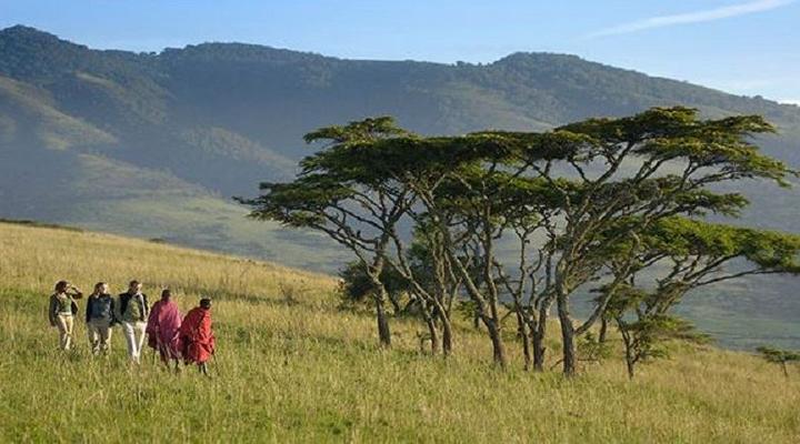 Kirurumu Ngorongoro Camp