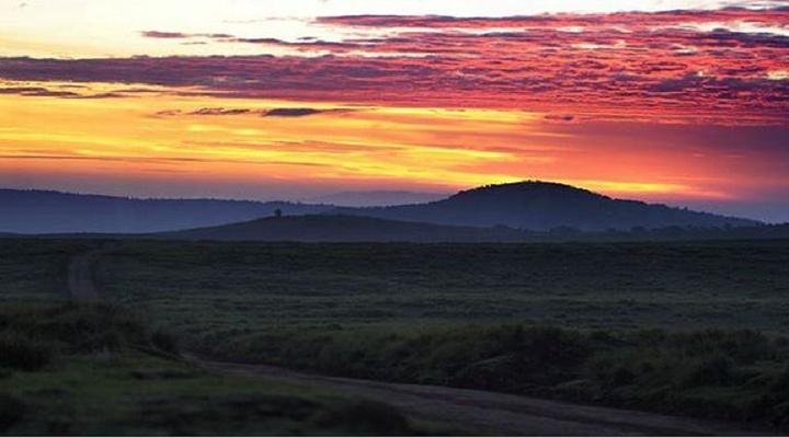 Kirurumu Ngorongoro Camp