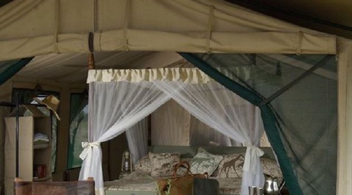 Kirurumu Serengeti Camp