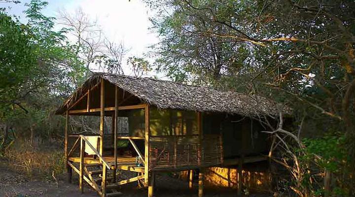 Selous Mbega Camp
